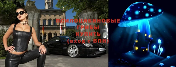 соль курить ск Горно-Алтайск
